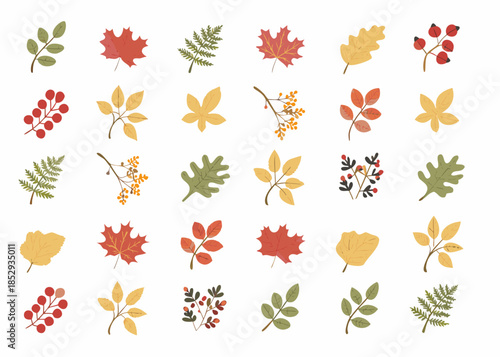 A colorful collection of autumn leaves and berries in various shapes
