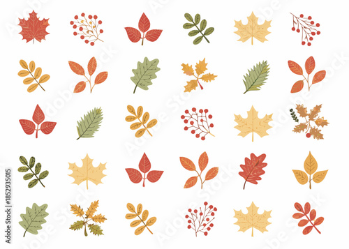 A colorful collection of autumn leaves and berries on a white background