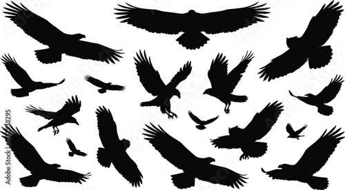 Flying bird silhouettes collection with spread wings isolated on white background powerful wildlife nature vector illustration freedom motion set