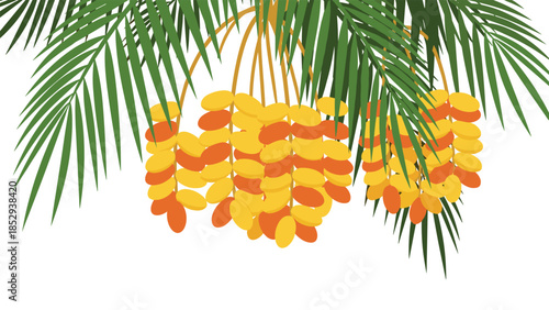 Lush date palm fronds gracefully frame multiple abundant clusters of ripe, golden-orange dates, beautifully illustrating the natural harvest and bounty of tropical agriculture under warm sunshine.