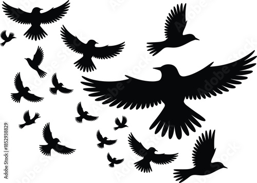 Flying bird silhouettes flock in dynamic spread wings black vector illustration isolated on white background freedom motion wildlife design concept