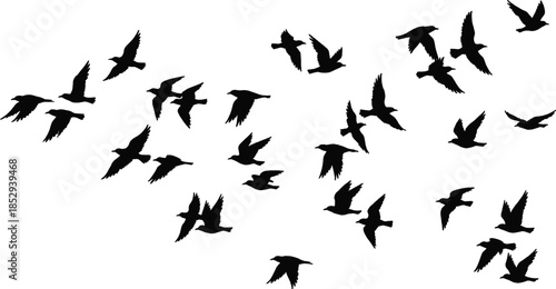 Flying bird silhouettes flock in motion isolated on white background minimal wildlife nature vector illustration design abstract sky freedom concept