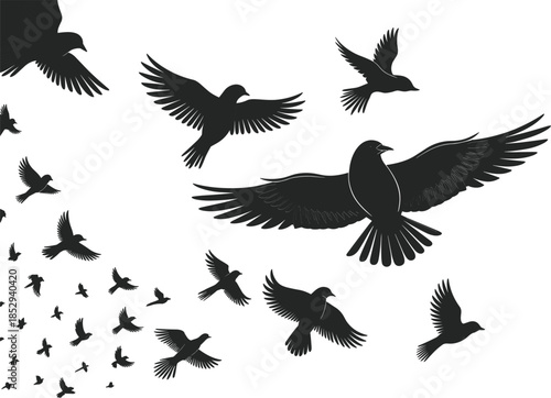 Flying bird silhouettes flock with spread wings isolated vector illustration for freedom wildlife nature concept stock graphic design use