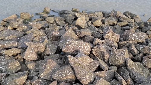 A breakwater is a pile of rocks along a coastline. Its primary function is to protect the coast from erosion caused by wave energy.