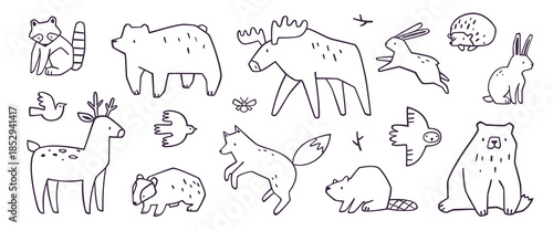 Outline forest animals set. Wild animals vector collection. Line animals bundle.