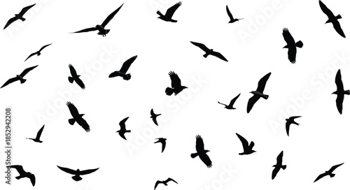 Flying bird silhouettes scattered in sky black avian vector illustration isolated for wildlife nature freedom motion design projects branding