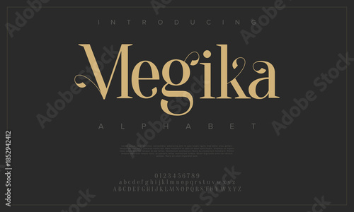 Elegant Font, aesthetic, Uppercase Lowercase and Number. wedding font, Classic Lettering Minimal Fashion Designs. Typography modern serif fonts regular decorative vintage concept. vector illustration