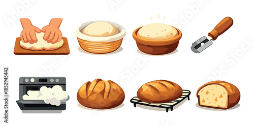 Steps to baking bread illustrated with dough preparation to freshly baked loaf