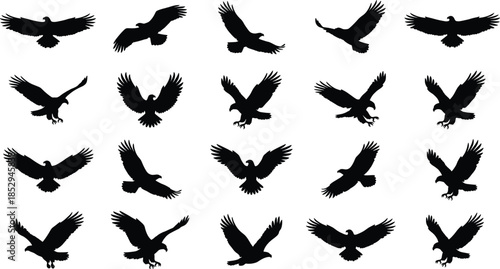 Flying eagle silhouettes collection with spread wings black raptor bird of prey vector illustration isolated for wildlife power design projects