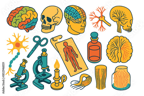 Vintage Neurology Icons. Isometric vector illustration set Vintage Neurology: lobed brain diagram, cracked skull view, phrenology