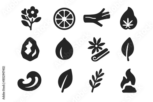 Fragrance Family Icons. Solid style icons of Fragrance families: floral bouquet, citrus slice, woody branch, amber resin, musky