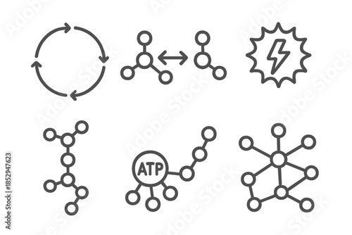 Metabolic Pathway Icons. Line style icons of Metabolic Pathways: circular pathway diagram, molecule exchange arrows, energy