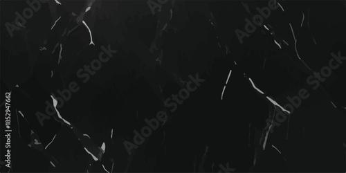 Natural Black Marble Texture Luxury Dark Stone Background for Architecture
