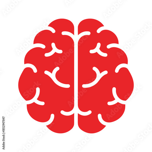 Human Brain Illustration Red Color