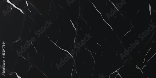 Natural Black Marble Texture for Interior and Exterior Home Decoration Design