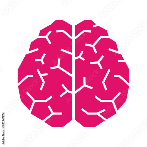 Pink Brain Illustration on White Background