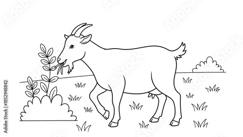 Standing Goat Farm Animal Coloring Page with Clean Outline for Kids Education