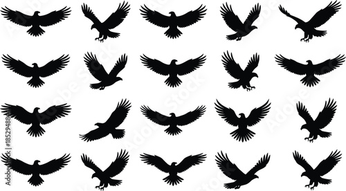 Flying eagle silhouettes set with spread wings black raptor bird of prey vector illustration isolated for wildlife power branding designs