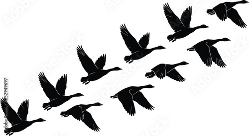 Flying geese silhouettes forming diagonal flock pattern black vector illustration isolated on white background wildlife migration concept nature bird design