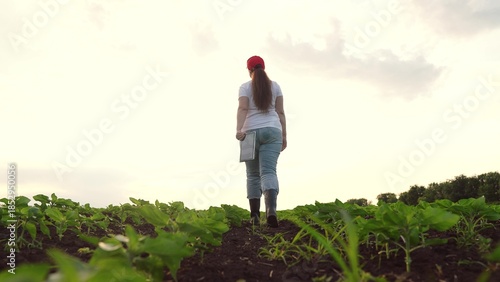 Tableau sur toile Agriculture, Female farmer checking crops, Digital analysis of plants, Rural tec