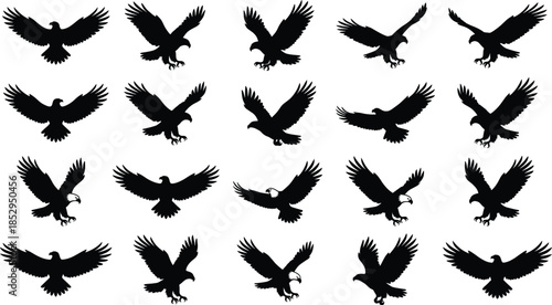 Flying eagle silhouettes set with spread wings black raptor bird of prey vector illustration isolated for wildlife power design projects