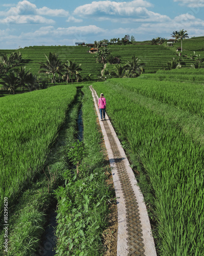 Female Tourist Walking Rice Fields Path, Aerial Drone View Over Emerald Terraced Paddies In Ubud Bali Solo