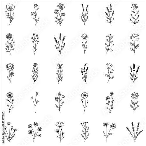 Cornflower SVG Clip Art