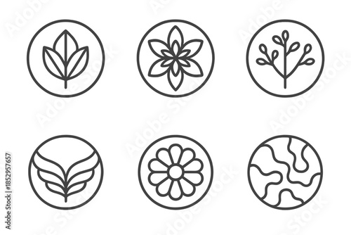Wild Symmetry Icons. Line style round vector icons of Wild Symmetry: mirrored leaf, fractal petal, twin branches, balanced wings,