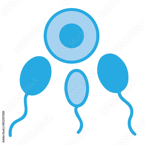 Fertilization Process Icon
