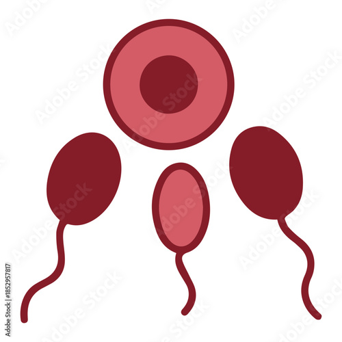 Reproduction Cells Concept