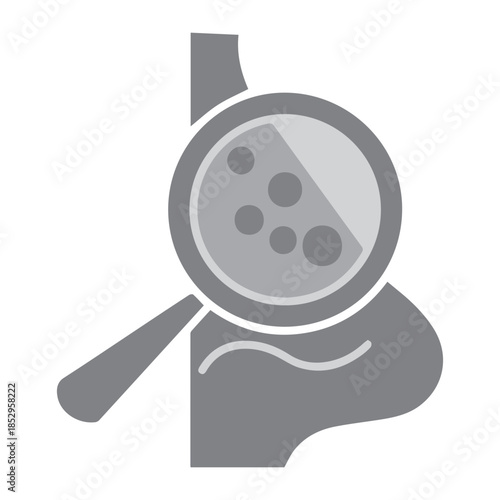 Nasal Sinus Magnified Check
