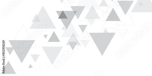 Abstract elegant triangle. White silver grey geometric universal background. modern design background with geometric shape. abstract graphic design banner pattern background template. Vector .	