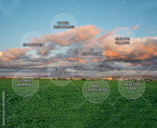 Modern agriculture plant growing with AI and innovation technologies. Digitization of agro-industry