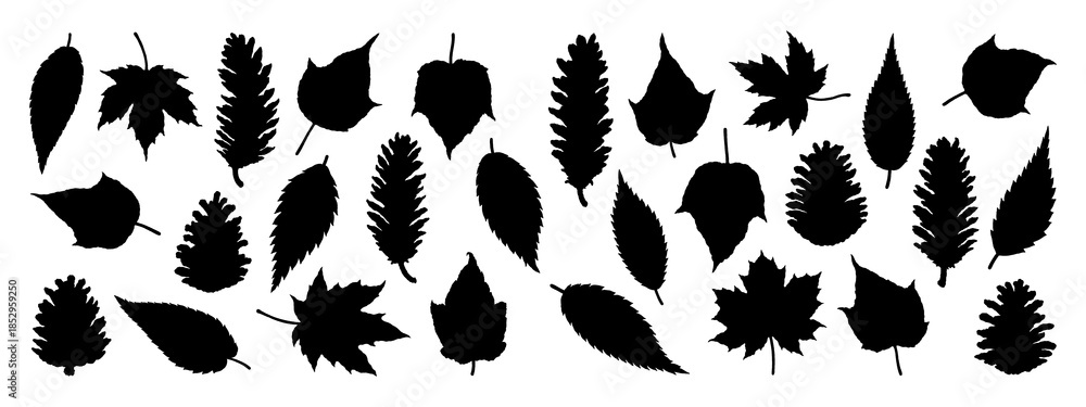Naklejka premium Black silhouette illustrations of pine cones and various leaves isolated on transparent background