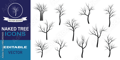 Doodle sketch style of Naked trees hand drawn illustration. Minimalist flat bare tree vector style Halloween spooky designs for fall season and horror themes. Vector illustration.