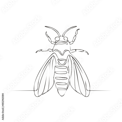 Minimalist Line Drawing of a Bee, Insect Illustration in Black and White, Single Line Art