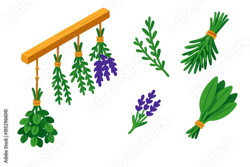 Herb Drying Rack. Isometric vector illustration set Herb Drying Rack: wooden rack with hanging herbs, rosemary bunch, thyme stems,