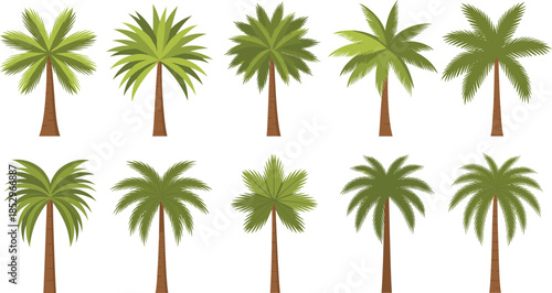 Tropical palm trees vector illustration set with different silhouettes isolated on white background