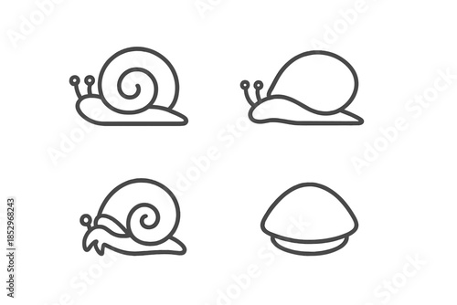 Line Style Shells. Line style icons of Shelled Creatures: rounded shell arc, soft body line, gentle antenna tip, slow mover shape,