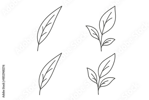 Botanical Leaf Icons. Line style icons of Botanical Leaves: slim leaf shape, gentle arc, natural curve, simple stem line, minimal