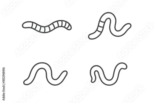 Minimal Worm Icons. Line style icons of Worm: crawling worm, curved segment, small head, soft body arc, tiny bend, minimal outline