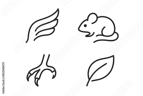 Nature Element Icons. Line style icons of Nature Elements: wing curve hint, small prey shape, talon line, soft arcs, delicate