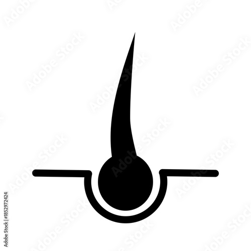 Hair follicle structure. Hair follicle structure illustration showing healthy hair growth.