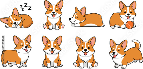 Cute corgi dog poses vector illustration set with playful sleeping sitting and smiling cartoon pet characters