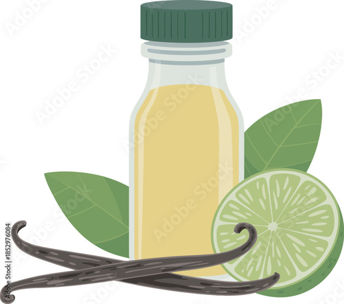 Natural essential oil with lime and vanilla beans illustration, fresh citrus and aromatic plant concept, organic wellness, aromatherapy, beauty, and herbal care products design.