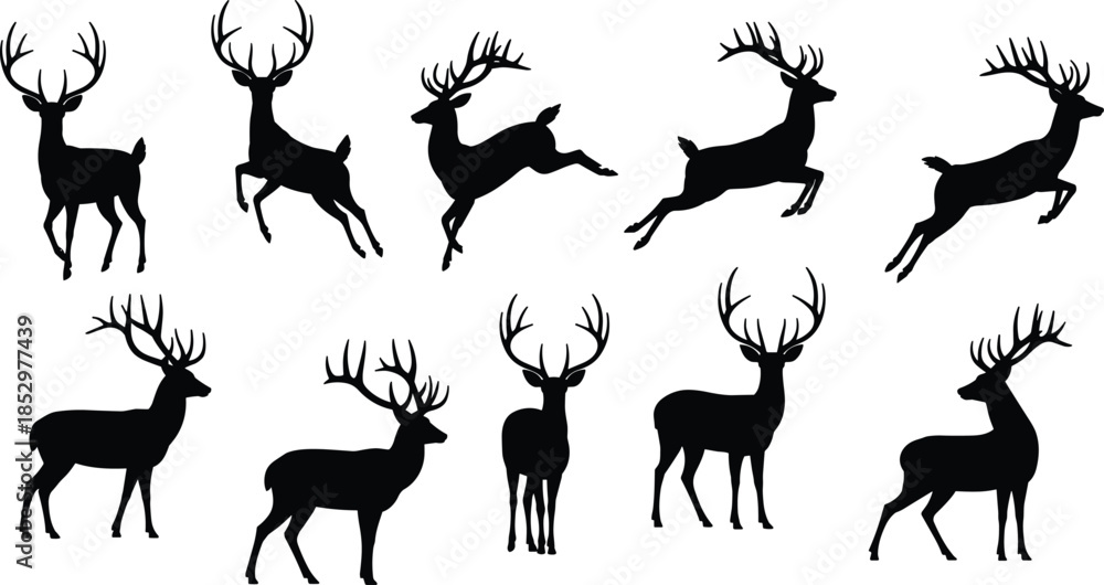 Obraz premium Deer Silhouette Set in Multiple Running and Standing Poses, Black Vector Illustration for Wildlife, Nature, Forest, and Hunting Designs