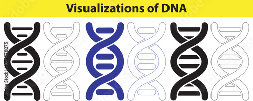 Various DNA Helix Illustrations for Scientific and Educational Use