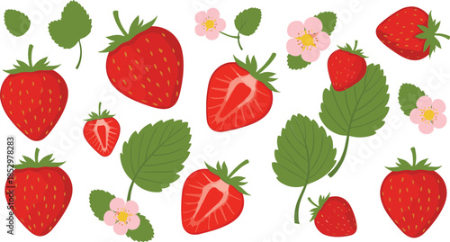 Cute flat vector strawberry illustration set with fresh berries leaves flowers and colorful summer fruit elements