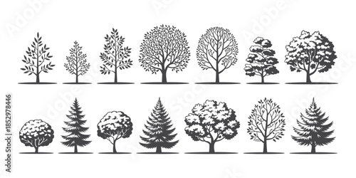 Minimalist CAD Tree Line Drawing Set, Architectural Vector Outline Trees for Landscape Design and Planning, White Stroke Foliage Illustration on Pattern Background for Elevations