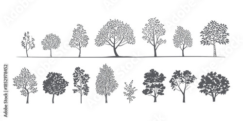Minimalist CAD Tree Line Drawing Set, Architectural Vector Outline Trees for Landscape Design and Planning, White Stroke Foliage Illustration on Pattern Background for Elevations